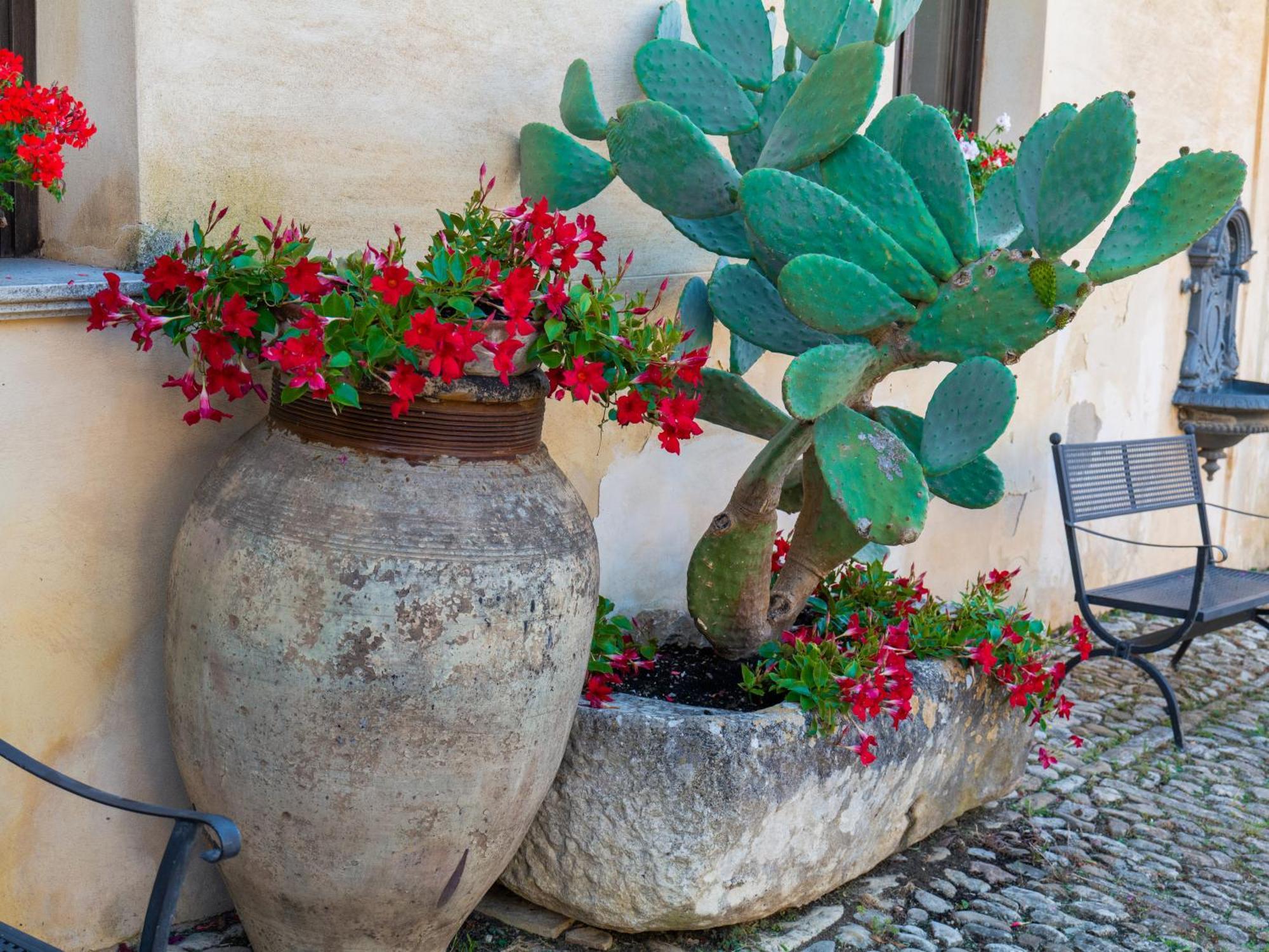 بوسيتو باليتسولو Agriturismo Baglio Fontana المظهر الخارجي الصورة